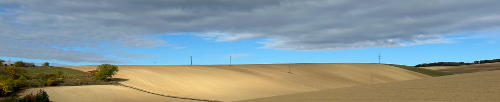 Banner profilu