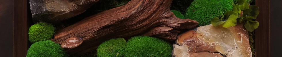 Banner profilu
