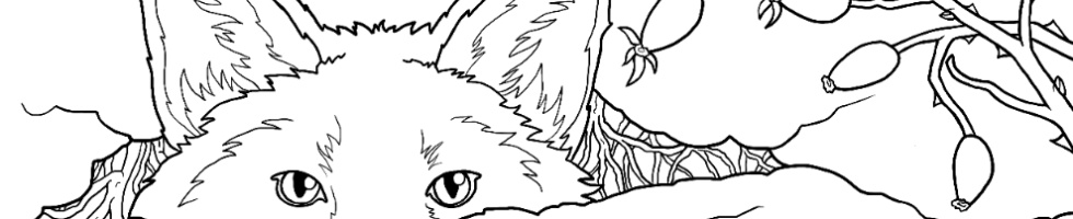 Banner profilu