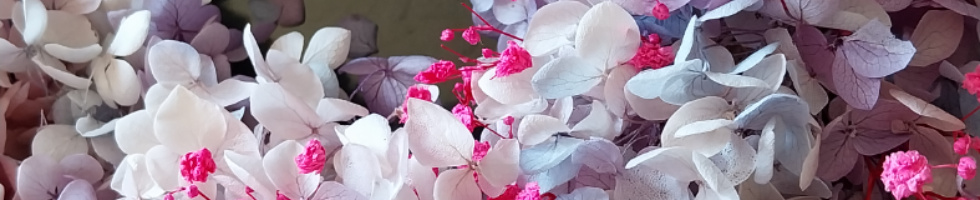 Banner profilu