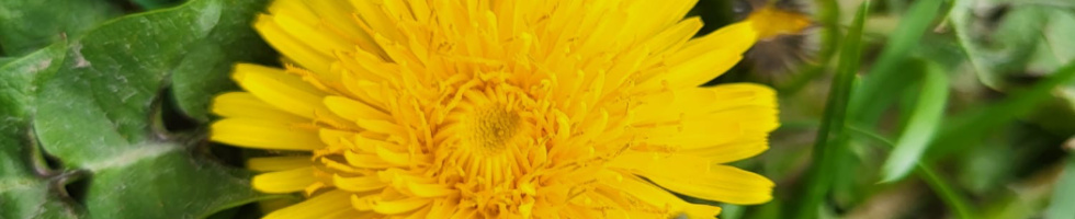 Banner profilu