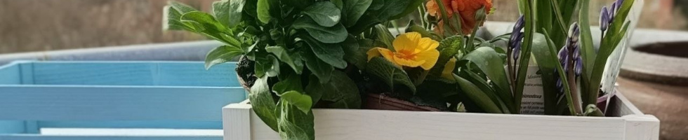 Banner profilu