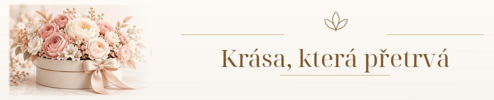 Banner profilu