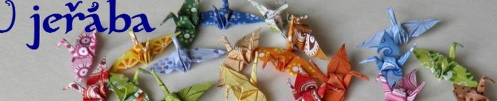 Banner profilu