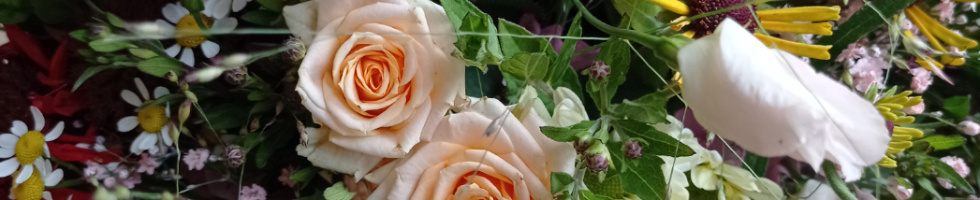 Banner profilu