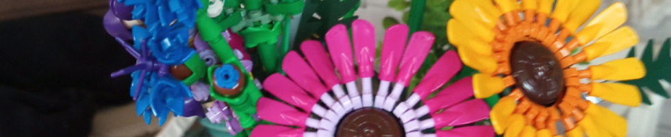 Banner profilu