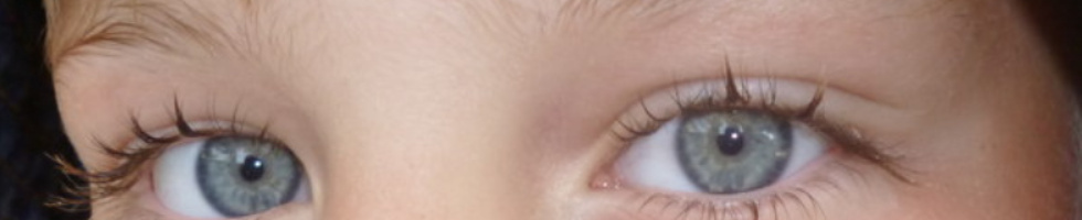 Banner profilu