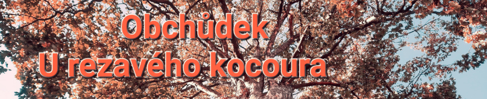 Banner profilu