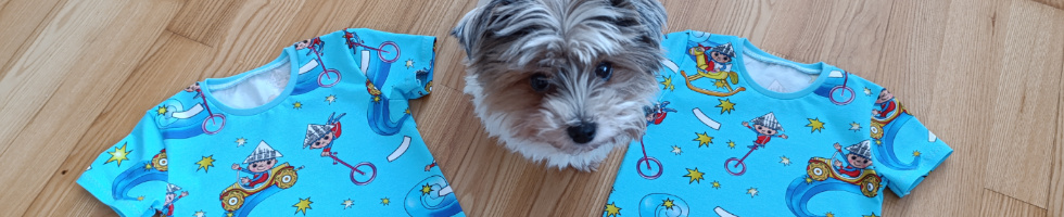 Banner profilu