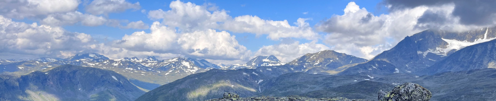 Banner profilu