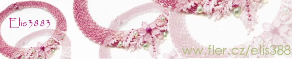 Banner profilu