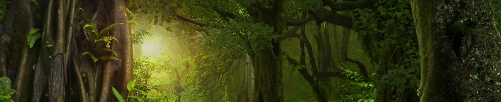 Banner profilu