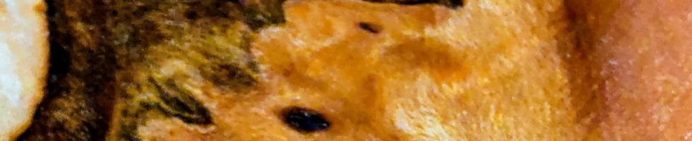 Banner profilu