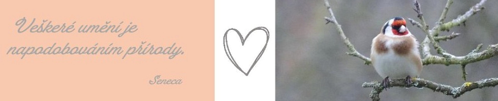 Banner profilu