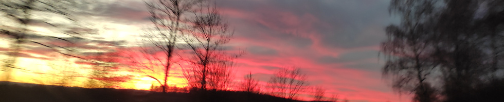 Banner profilu