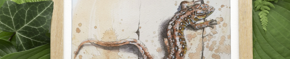 Banner profilu