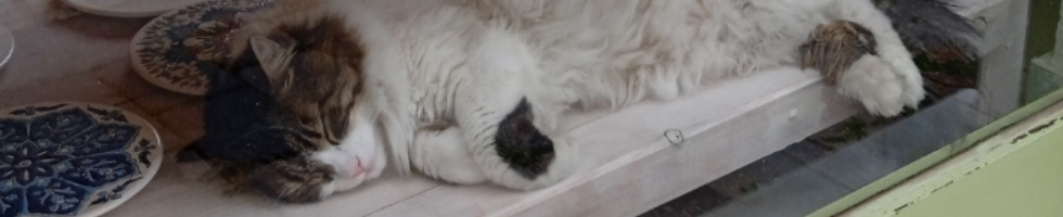 Banner profilu