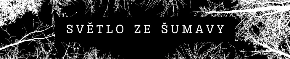Banner profilu