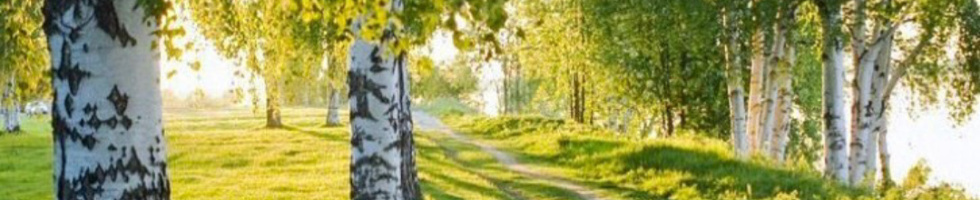 Banner profilu