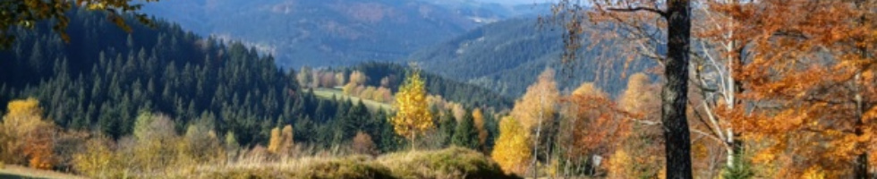 Banner profilu
