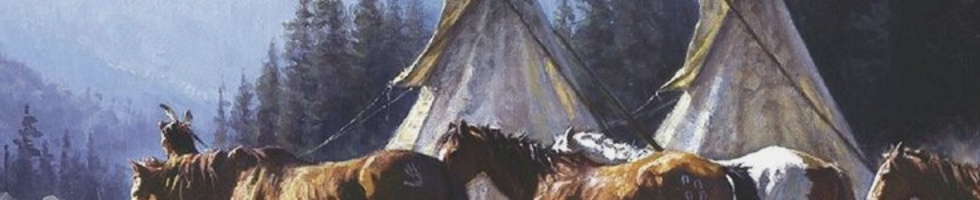 Banner profilu