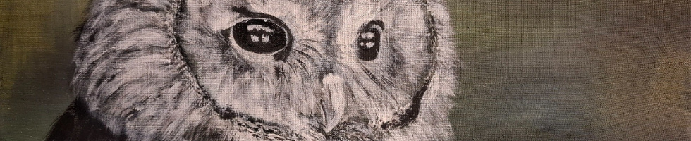 Banner profilu