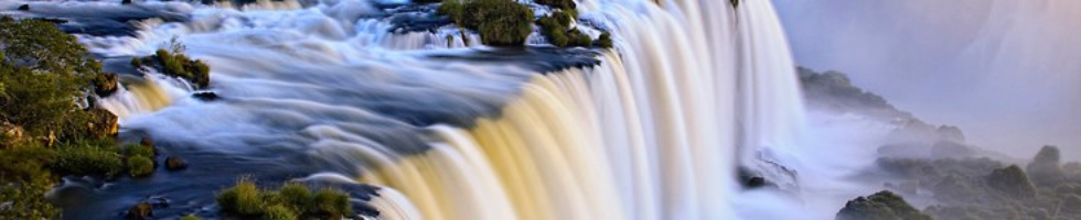 Banner profilu