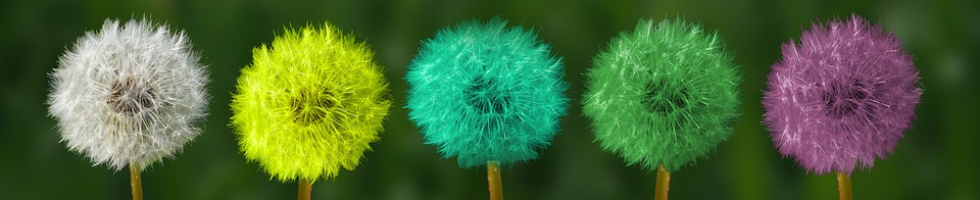 Banner profilu