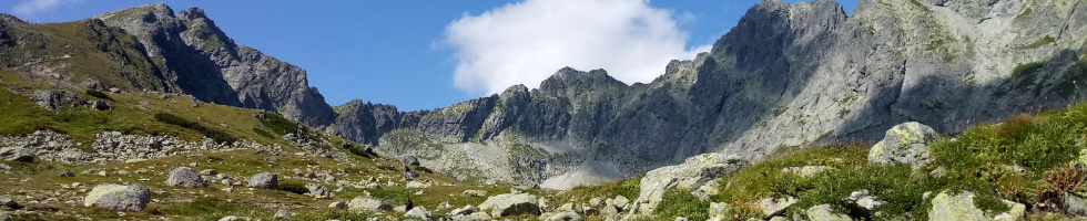 Banner profilu
