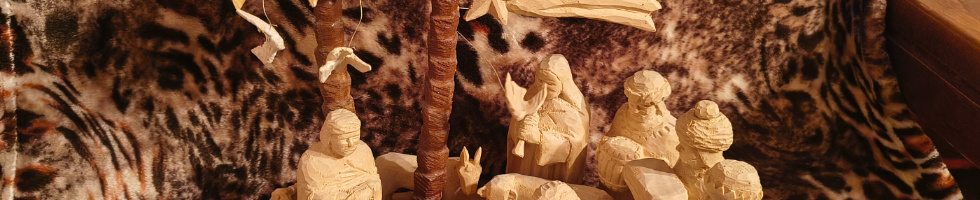 Banner profilu