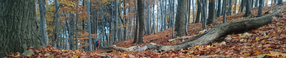 Banner profilu