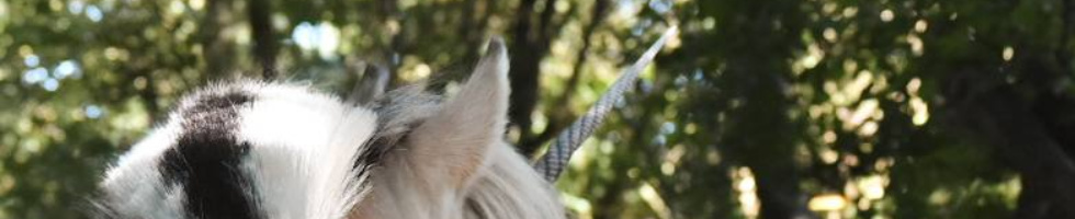 Banner profilu