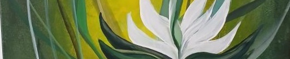 Banner profilu
