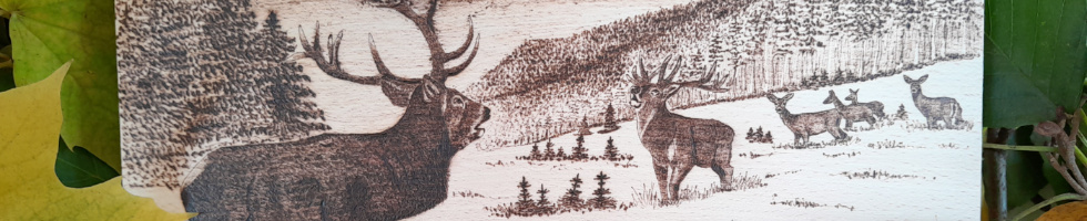 Banner profilu
