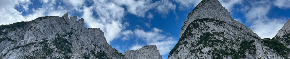 Banner profilu