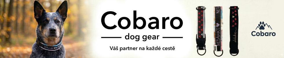 Banner profilu
