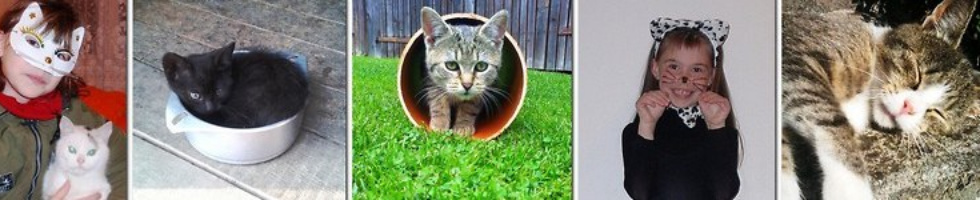 Banner profilu