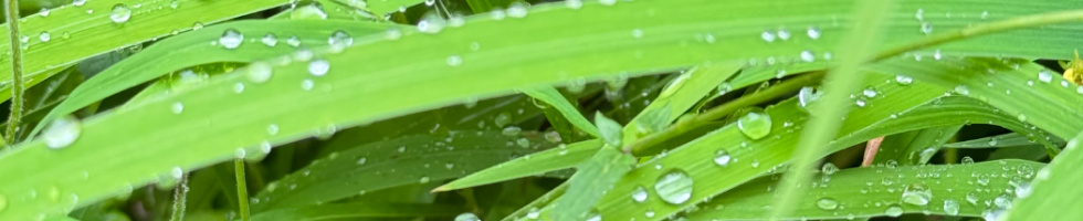 Banner profilu