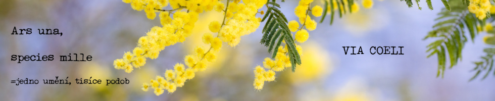 Banner profilu