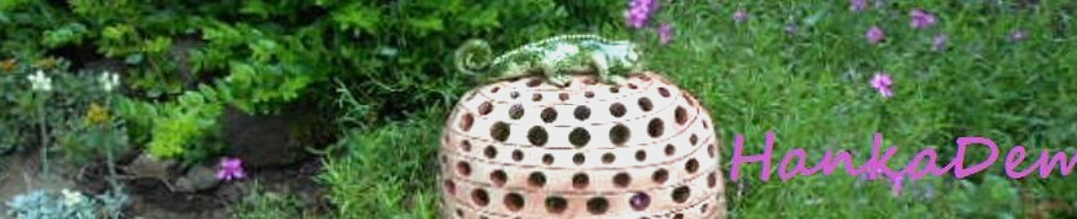 Banner profilu