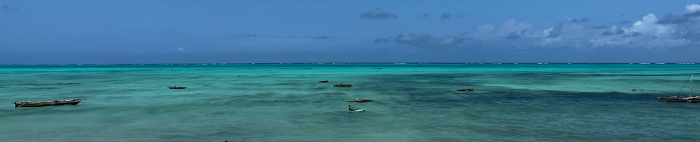 Banner profilu