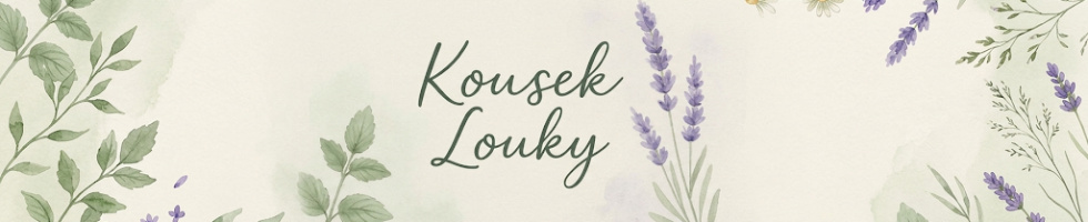 Banner profilu