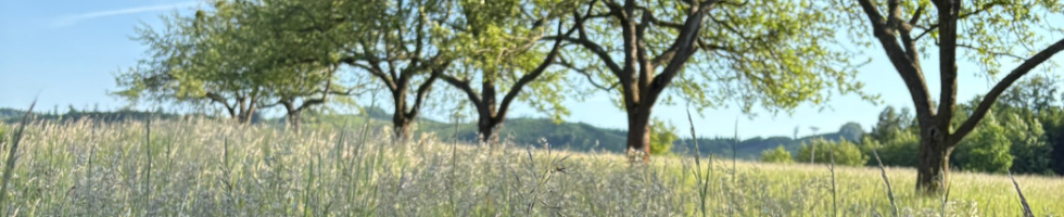 Banner profilu