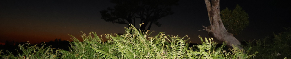 Banner profilu