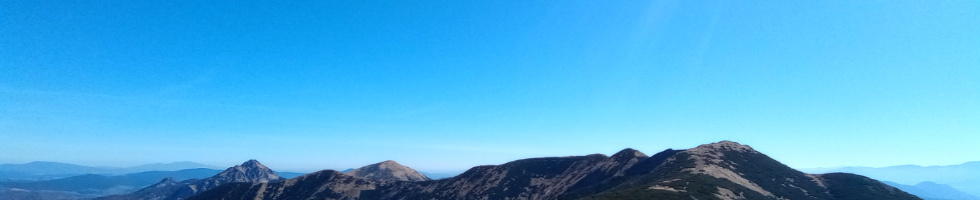 Banner profilu