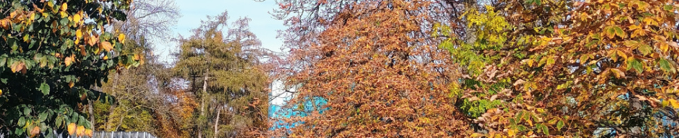 Banner profilu