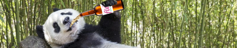 Banner profilu