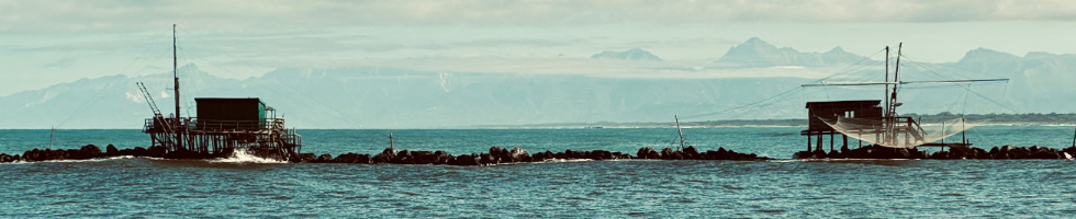 Banner profilu
