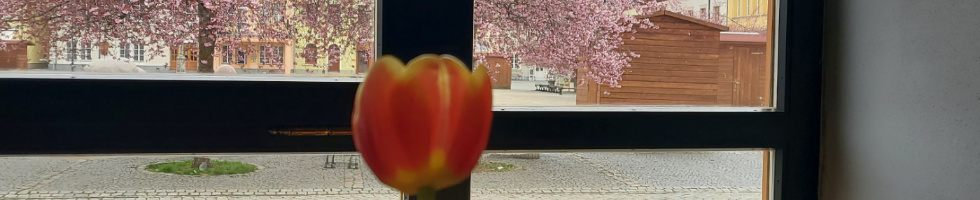Banner profilu