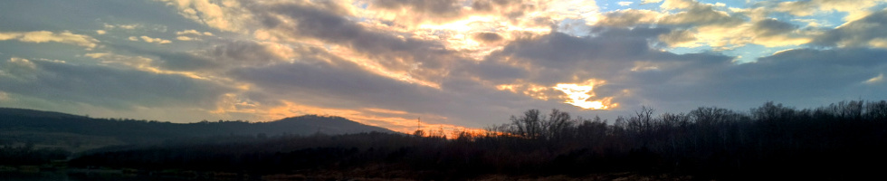 Banner profilu